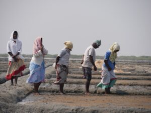 Women in Tamil Nadu in fields
