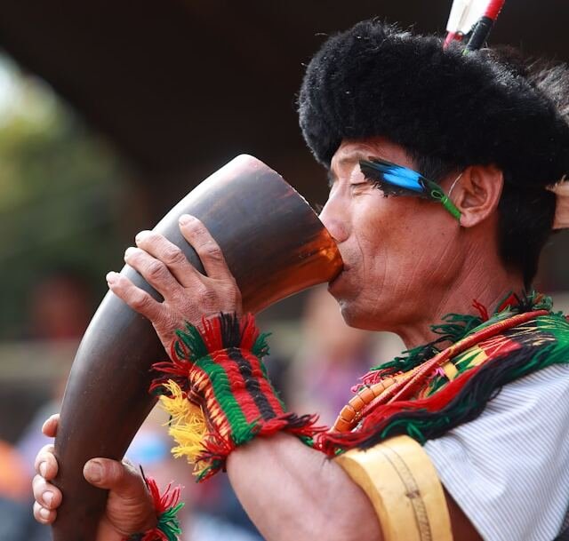 Guerrier Naga — agence réceptive dans le Nord-Est de l'Inde
